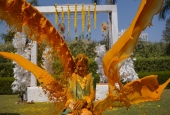 IIP Online Student Photography